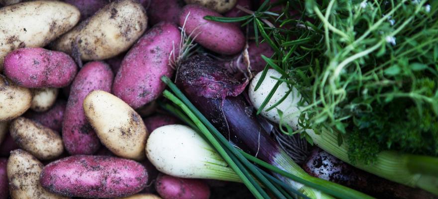 Bild på potatis och grönsaker