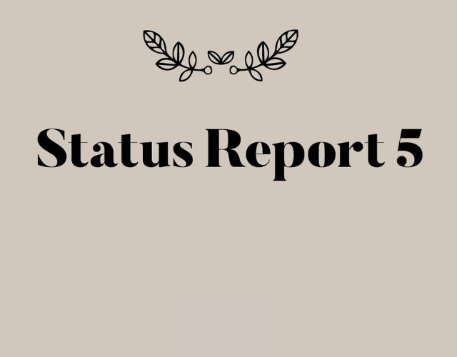 Statusrapport 5