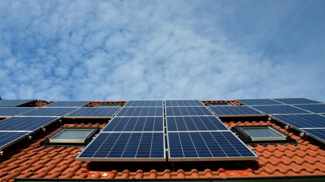 Bild på ett tak med solceller installerade